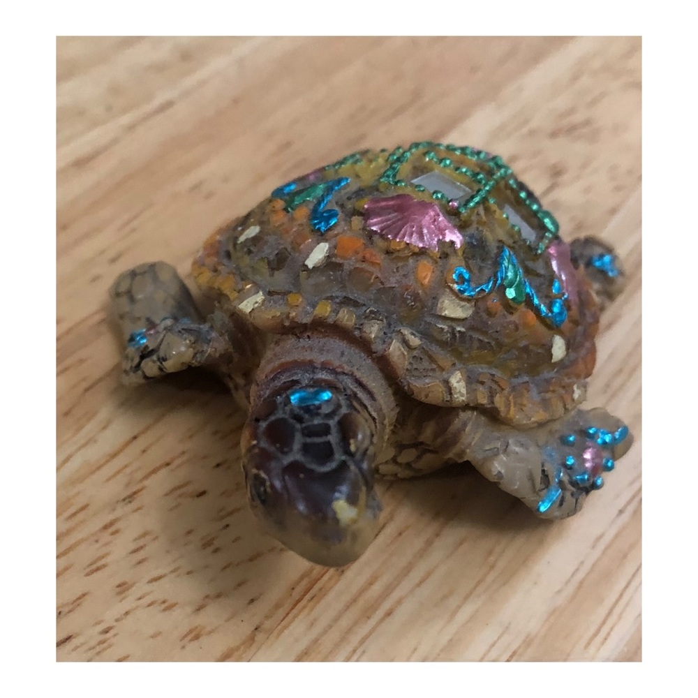 Collectible turtle
